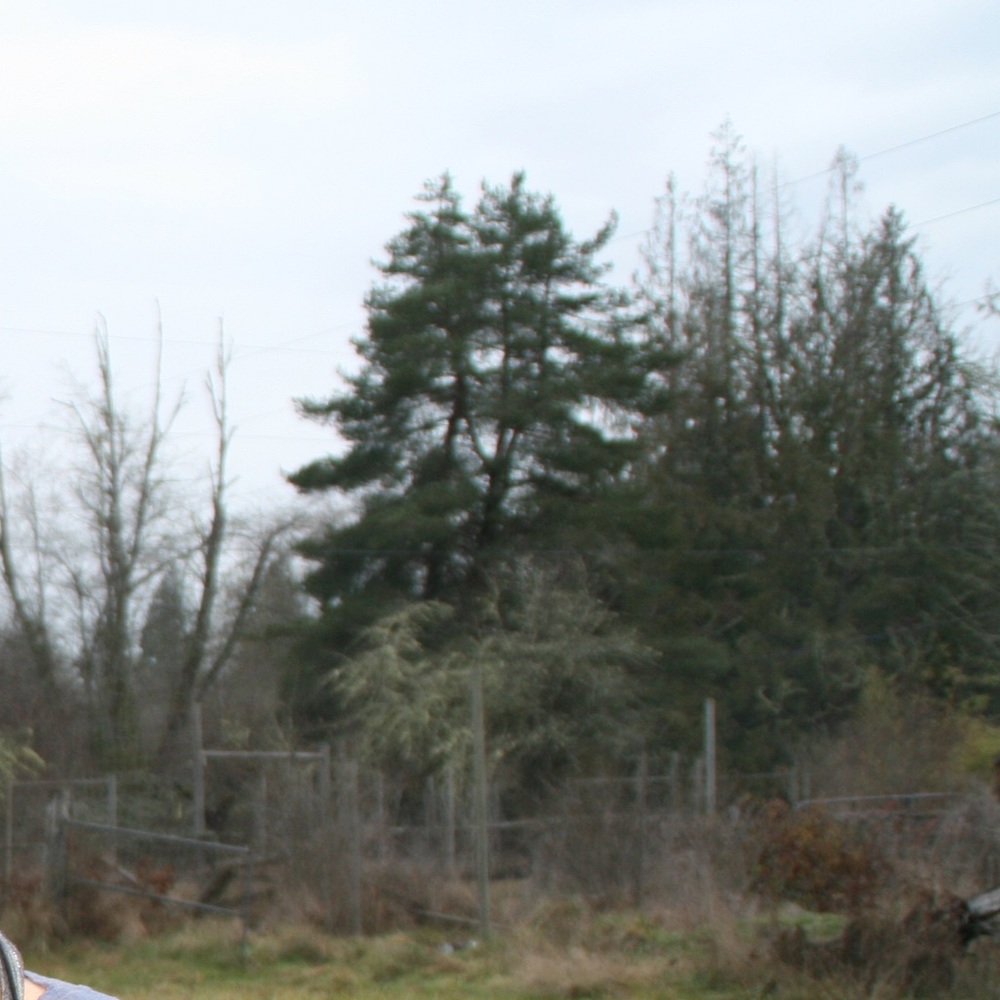 Meet your Posher, Kristin